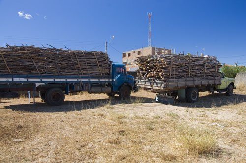 Caminhões carregado com madeira da caatinda são detidos